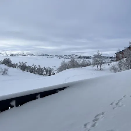Cozy Family Friendly Cabin Hébergement de vacances Ustaoset