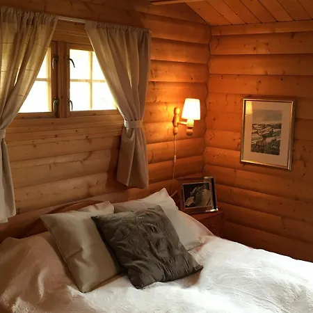 Cozy Family Friendly Cabin 于斯塔奥瑟特